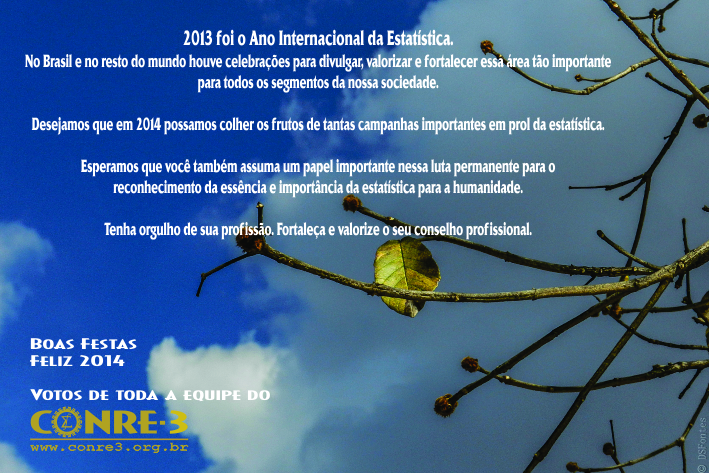Imagem inline 1