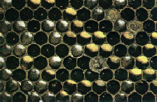favo.gif