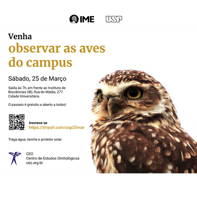 Observação de aves na USP