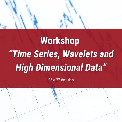 WORKSHOP: TIME SERIES, WAVELETS AND HIGH DIMENSIONAL DATA