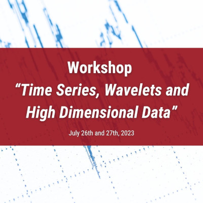 WORKSHOP: TIME SERIES, WAVELETS AND HIGH DIMENSIONAL DATA