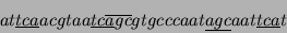 \begin{displaymath}
at\underline{tca}acgtaa\underline{tc\overline{a}}\overline{gc}gtgcccaat\underline{agc}aat\underline{tca}t
\end{displaymath}