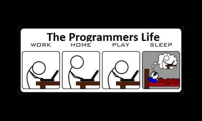 Programmers Life