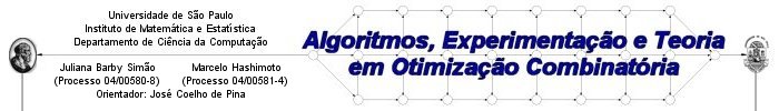 Algoritmos, Experimentao e Teoria em Otimizao Combinatria