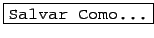 \fbox{\texttt{Salvar Como...}}