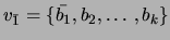 $ v_{\bar{1}}=\{\bar{b_1},b_2, \ldots, b_k\}$