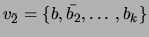 $ v_{\bar{2}}=\{b,\bar{b_2}, \ldots,
b_k\}$