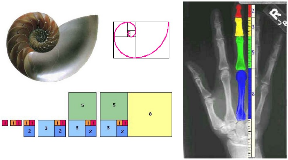 fibonacci_exemplos