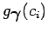 $ g_{\mbox{\boldmath {$\gamma$}}}(c_i)$