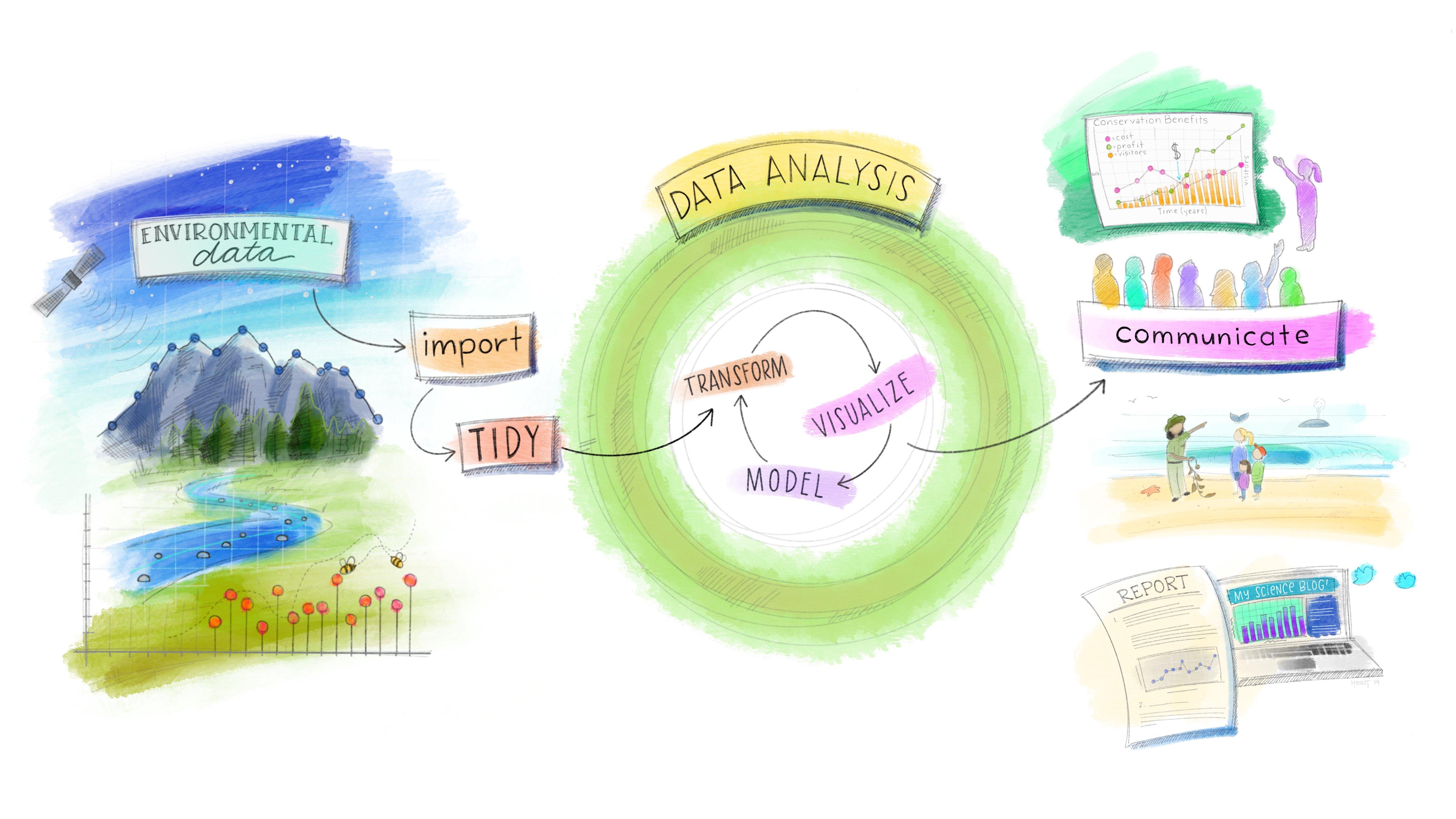 Updated from Grolemund & Wickham's classis R4DS schematic, envisioned by Dr. Julia Lowndes for her 2019 useR! keynote talk and illustrated by [Allison Horst](https://github.com/allisonhorst/stats-illustrations).